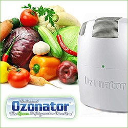 ozonator, ozone